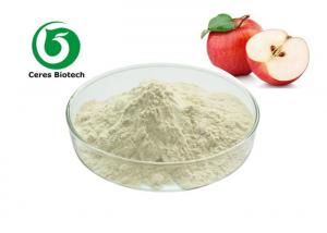 China Food Grade Natural Apple Fruit Juice Powder on sale