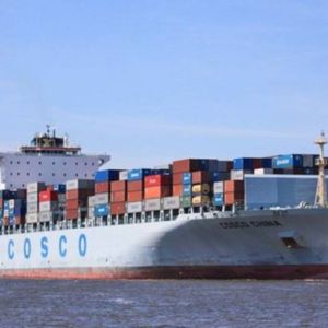 Cargo Global Drop Shipping Distributors Direct FCL From Shanghai To Bangkok