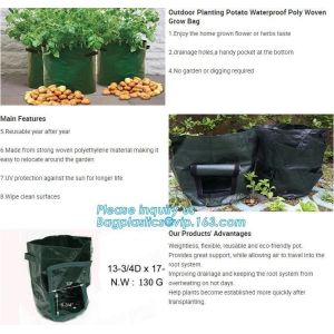 Nine pockets cheap vegetable grow planter bag,china manufacture riptop