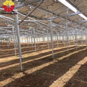 Open Fields Installation Site Solar Array Ground Mount System with Custom Design