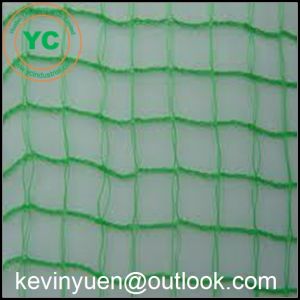 Cheap 2m x 5m ANTI BIRD NETTING - THE VERY BEST QUALITY- FRUIT PROTECTION NET for sale