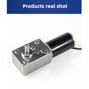 20W Reversible Dc Motor Micro Worm Gear For Electric Door Curtain Robot