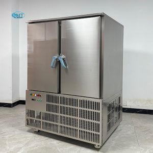 Cheap Stainless Steel Single-temperature Blast Freezer for Large Capacity Frozen in Commercial Emergency Freezing Weight 490 KG for sale