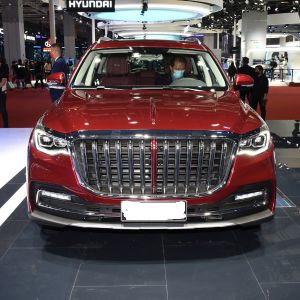 Hongqi HS7 2021 2.0T DCT FWD Qiyue Version Medium Large SUV Gasoline Type