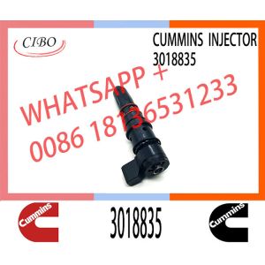 NT855 Engine Diesel Fuel Injector Assembly 3411821 3087648 3018835 3406604