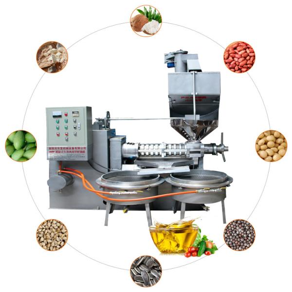 Quality Straight Row Squeezer 300kg/H Screw Oil Press Machine wholesale