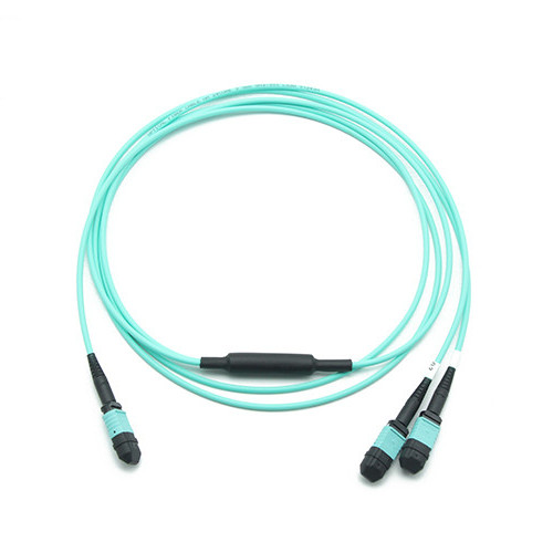Quality 100Gbps 24F 50/125 OM3 LSZH MPO Standard loss 24F MPO (Female) to 2 x 12F MPO (Female) 50/125 OM3 trunk cable LSZH TYPE wholesale