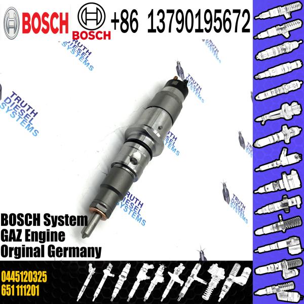 Diesel Injector 0445120325 0445 120 325 0 445 120 325 For Common Rail Injector