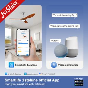 3 ABS Blade 52 Inch Plastic Ceiling Fan DCF FS52901 Energy Saving