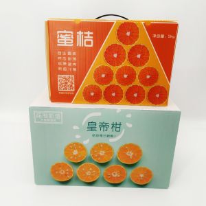 Packaging Corrugated Plastic Storage Boxes With Handle 6000N/M