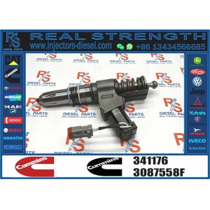 Diesel Common Rail Diesel Fuel Injector 341176 3411381 3411762 For Cummins QSN14