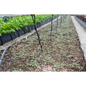 Plastic Hydroponic Tomato Planting Trough PP Roll Black White For Soilless