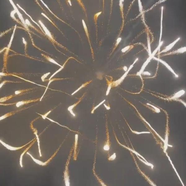 Quality Chinese Professional Display Firework Mortar Artillery Shell Pyrotechnics Supplies 6 Inch Display Shells 2024 wholesale