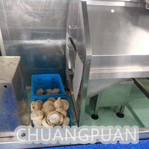 Cheap High Voltage Coconut Water Extraction Machine 1-10T/H Filling Speed for sale