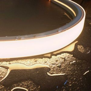 Large Silicone Neon Lights 2835 24VDC 5m/Reel IP67 Waterproof 30mmx20mm Custom