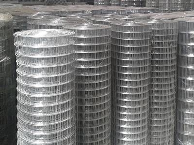 Quality Electro Galvanized 12 14 Gauge Wire Mesh Roll Wire Mesh Gabion Box wholesale