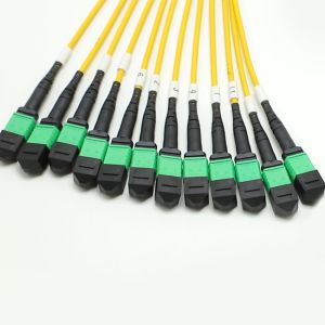 144F MTP MPO Fanout Cable SMG657A1 MPO APC to MPO APC Breakout Fiber Optic Patch