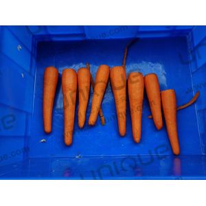 Automatic Fruit and Vegetable Carrot Skin Peeling Machine with 1930*500*1050 mm