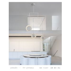 Art Decor Nordic Designer Convex Lens Glass Led Pendant Lights(WH-GP-88)