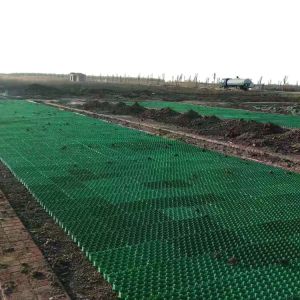 HDPE Grass Paver Grid for Parking Lot and Driveway Onsite Inspection After-sale