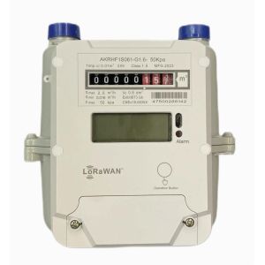 STS AMR Prepaid LORAWAN Gas Meter
