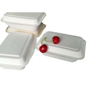 Eco Friendly Bagasse Clamshell Containers 271x182x45mm