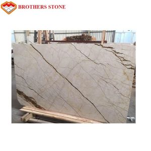 Sofitel Gold Marble Stone Tile Cut To Size With 2.73 G/Cm3 Bulk Density