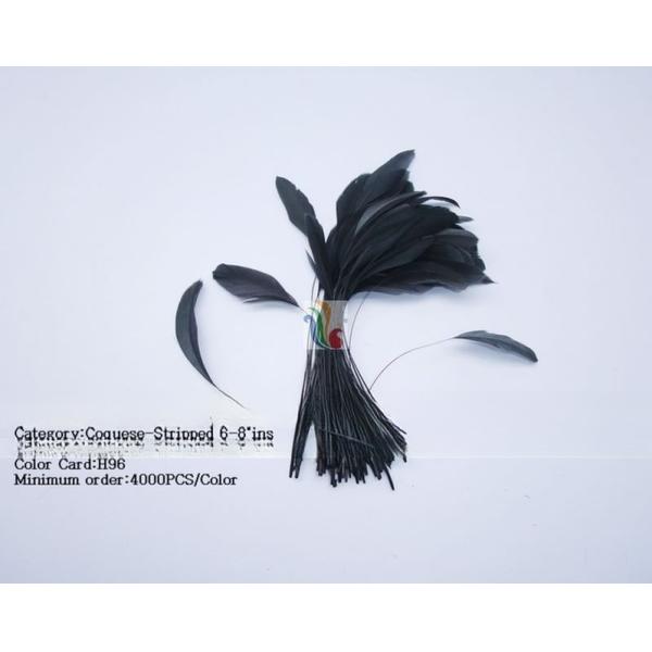 Dyed Pattern Party Decoration Stripped Rooster Coque Feather 12-14inch / 14-16inch