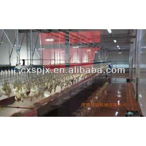 Customized Capacity Chicken Bleeding Line With Stainless Steel Slaughter Machine