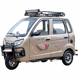 Closed 80000m/H 200w Gas Powered 3 Wheel Trikes