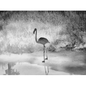 New Arrival Guide TN450 Uncooled Infrared Thermal Night Vision Imaging