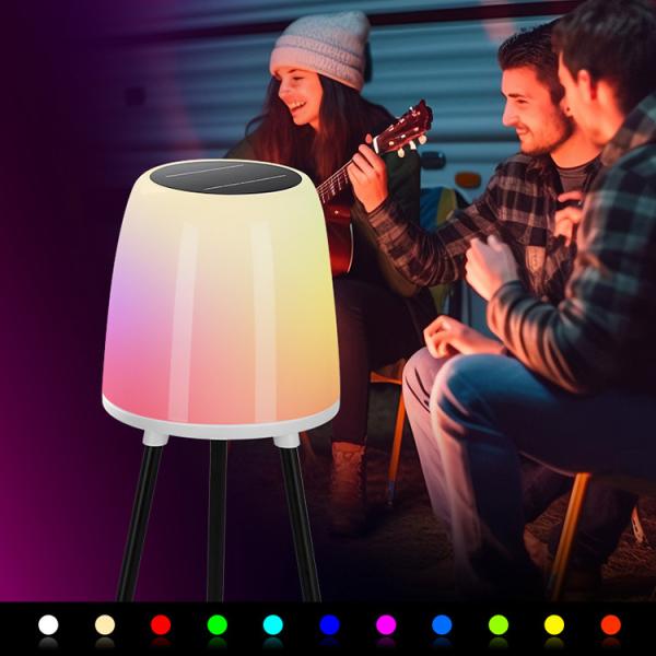 4PCS/CTN Solar Powered Decorative Landscape Lamps 27Pcs LED Outdoor Lights