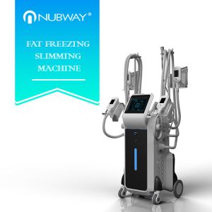 Cheap Fat freezing Cryolipolysis machine for whole body fat reduce for sale