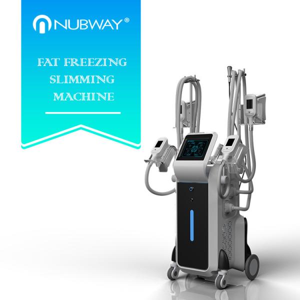 Quality Best selling 4 different size handles Cryolipolysis work together with amazing result wholesale