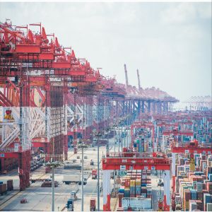 International Sea Freight Forwarding DDP From China To New Zealand