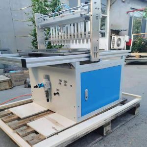 200 KG Capacity Automatic Tray Vegetable Seeds Sowing Machine for Precision