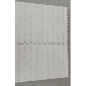 1000 Series Plastic Modular Belt with 25.4mm Pitch Sale