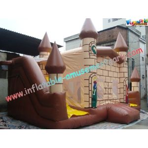 PVC Commercial Inflatable Bouncer Slide For Backyard Use With Custom Color