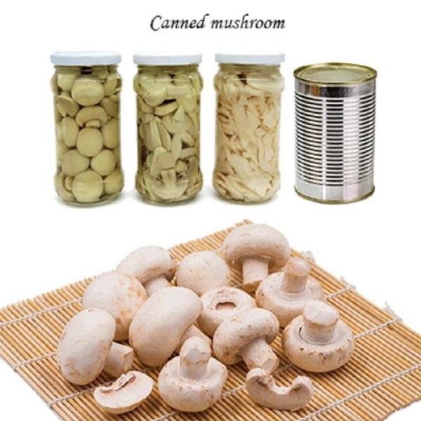 Quality Champignon Mushroom Canned Fruits Vegetables Champing Mushroom Slices wholesale
