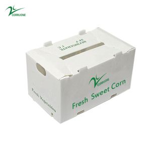 China pp plastic storage box PP Corrugated Plastic Box for Vegetable ,Fruit and Agriculture Packing box on sale