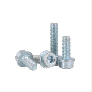 Hex Socket Head Flange Bolts Carbon Steel Stainless Steel M3 M4 M5 M6 M8 M10
