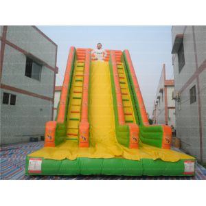 Cheap Giant Inflatable Sport Slide (CYSL-35) for sale