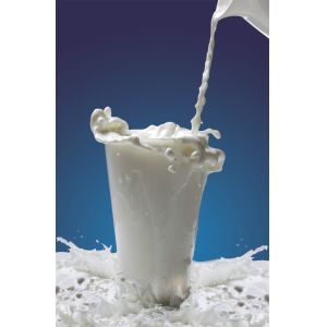 Food Additives Natural Emulsifiers For Food (DMG) Distilled Monoglyceride DH-Z80