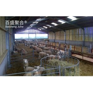 Prefabricated Hot Dip Galvanised Steel Structure Barn Shed for Cow Chicken Sheep