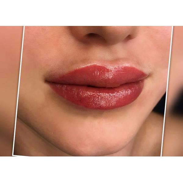 Colorful Hydra Permanent Makeup Box With Nursing Repair Cream For Lips