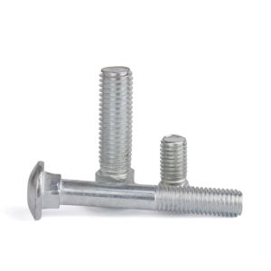 18-8 Stainless Steel Chrome Plated Carriage Bolt SS SUS 304 316 316L A2 A4 70 80