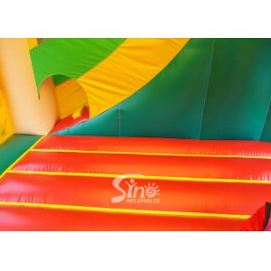 Custom made outdoor tropical inflatable combo castle with slide made of lead