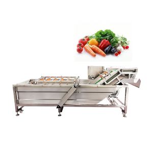 500kg/H 3.75KW SUS 304 Apricot Celery Washing Machine