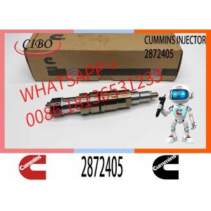 ISX CRI D10 ISX Diesel Engine Common Rail Fuel Injector 5579415 2894920 2872405