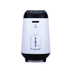 China 9L Large Screen LCD Display, Portable Intelligent Voice Prompt, Efficient And Stable Silent Oxygen Concentrator on sale